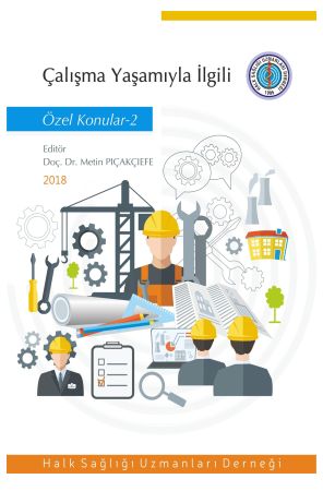 Çalışma Yaşamıyla İlgili Özel Konular - 2